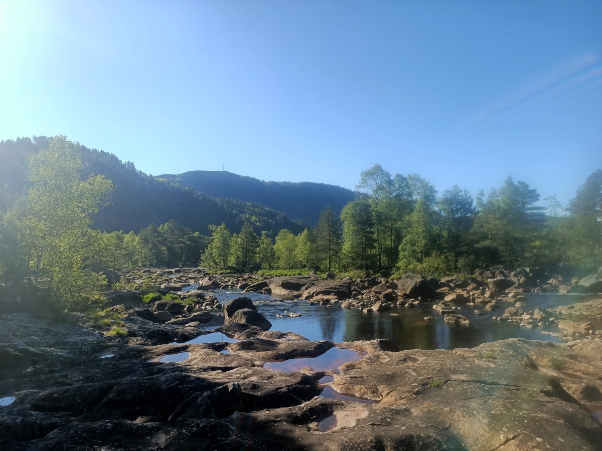 Norwegia – południe pełne roślin i&nbsp;ziół